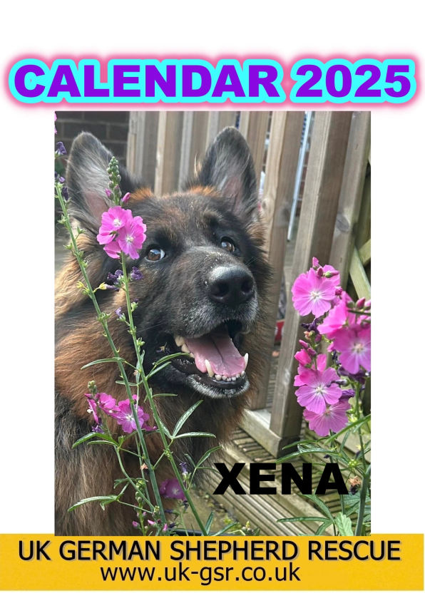 Calendar option 1